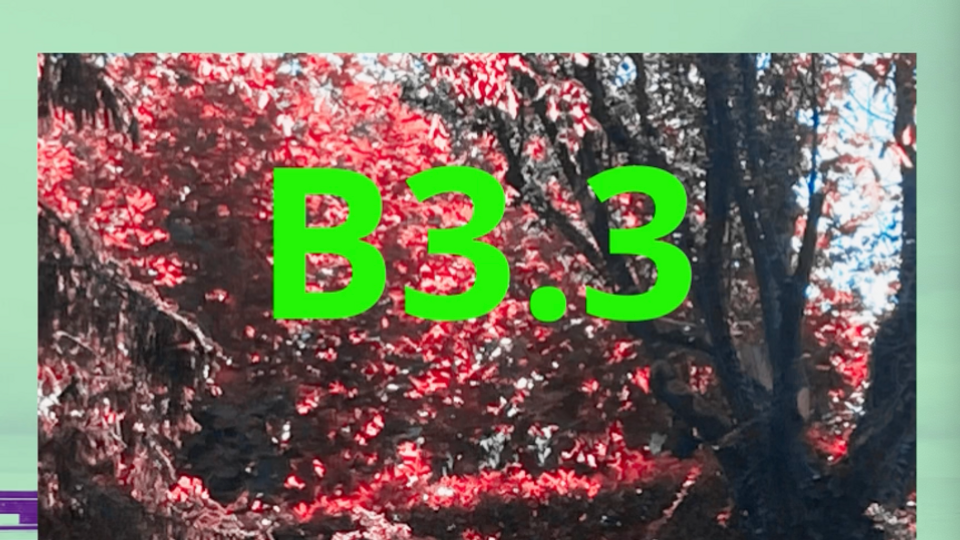 B3.3